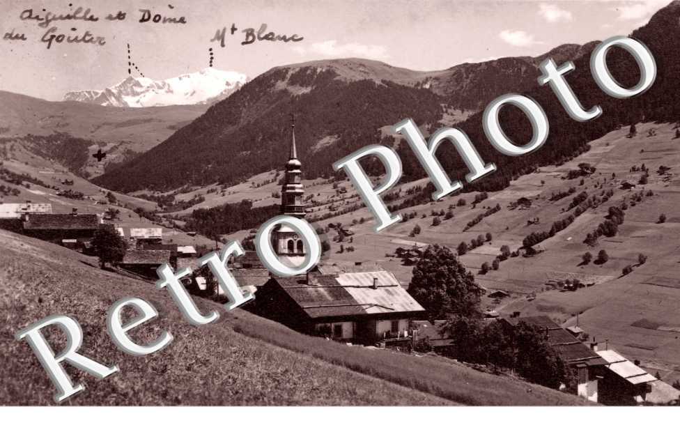 vue generale et le Mont Blanc