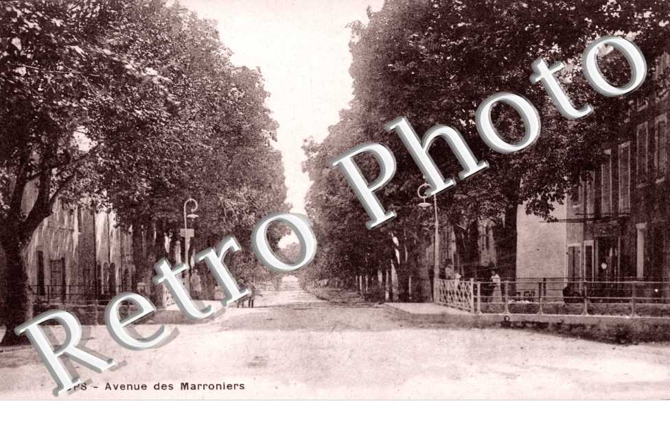 Avenue des Marronniers
