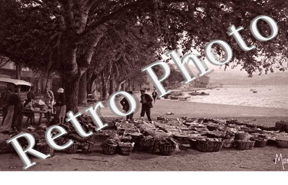 Un coin du Marche l'ete