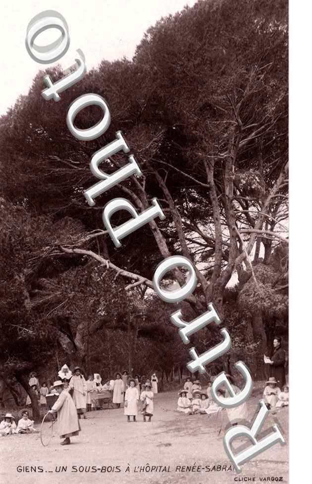 Un sous bois a l'Hopital Renee Sabran