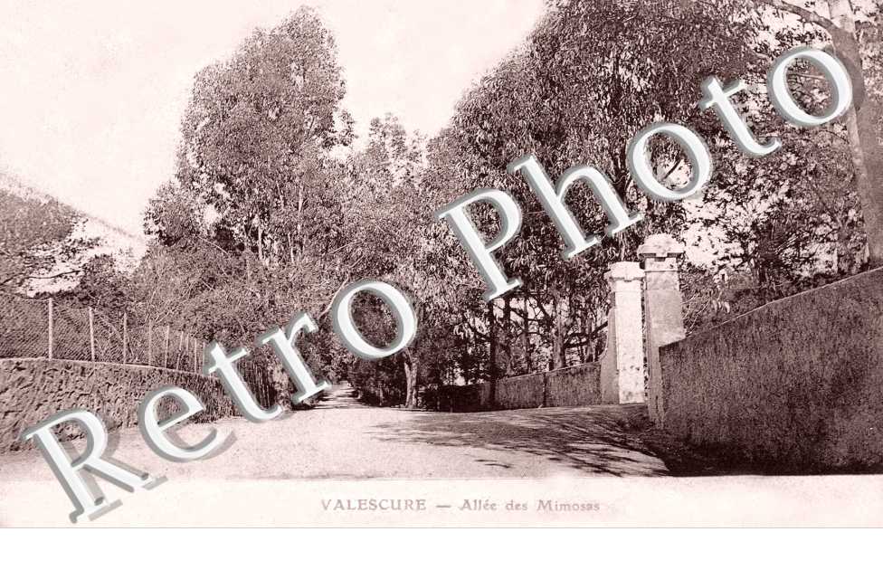 Valescure - Allee des Mimosas