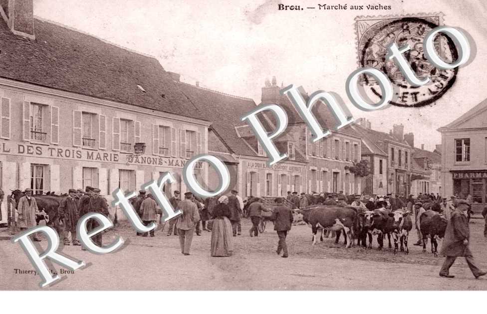 marche aux vaches