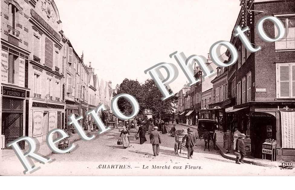 la marche aux fleurs