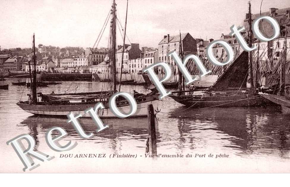 Vue d'Ensemble du Port de Pêche