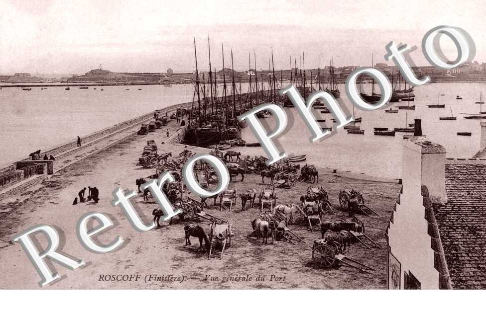 Vue Générale du Port
