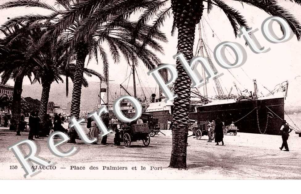 Place des palmiers et le port