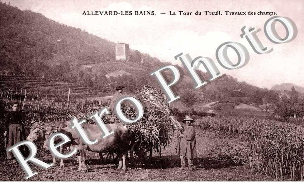 LA TOUR DU TREUIL