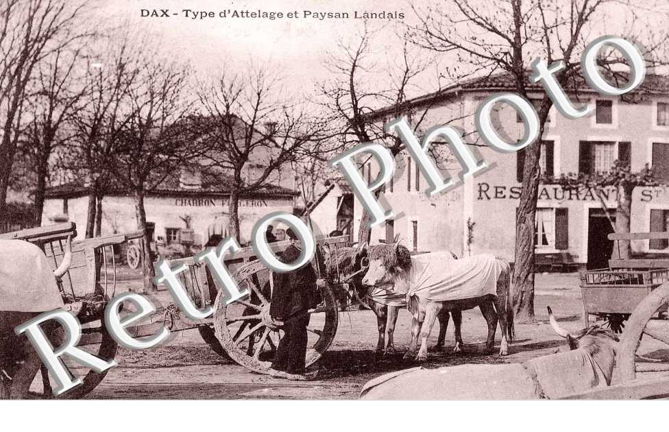 type d'attelage et paysan landais (folklore)