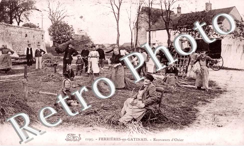 ecorseurs d'Osier