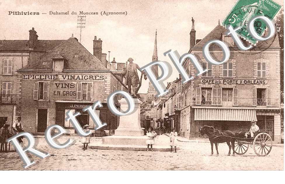 DUHAMEL DU MONCEAU