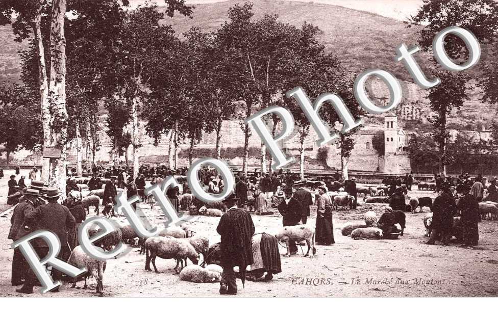 Marche aux moutons