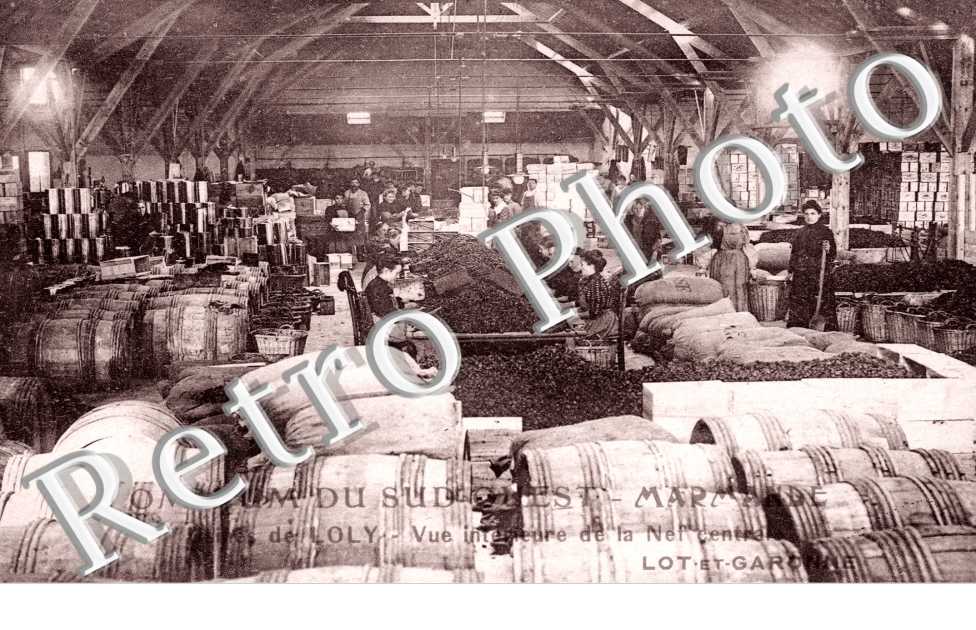 Usines de Loly, vue interieure de la Nef centrale
