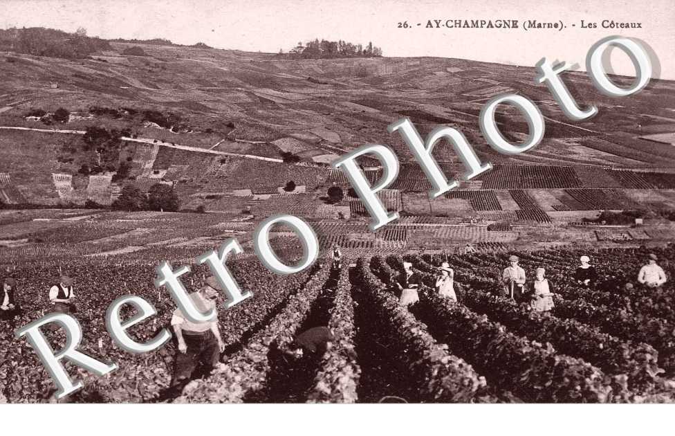 les coteaux