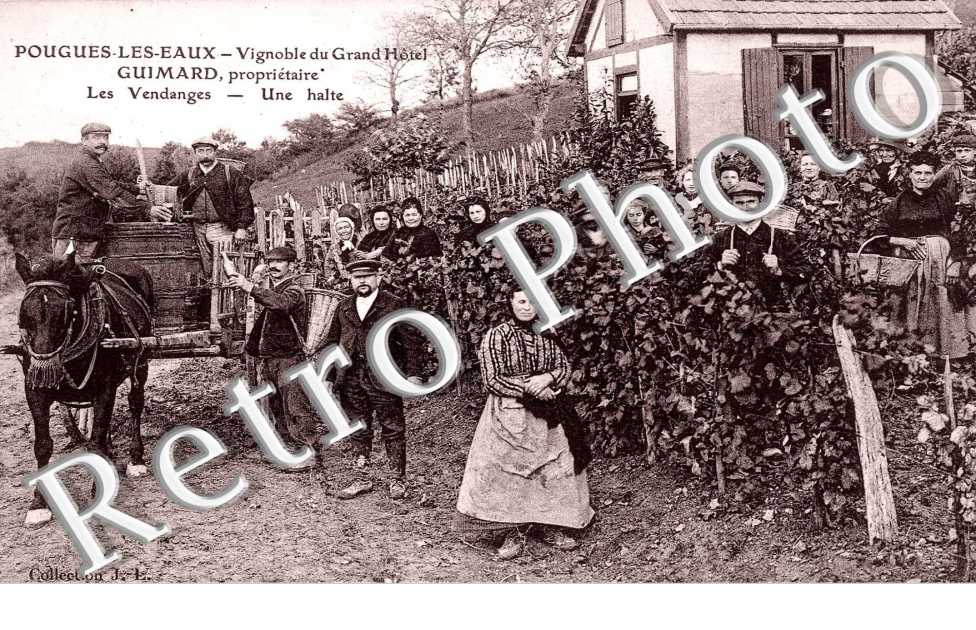 vignoble du Gd Hotel Guimard - les vendanges une halte (tres belle carte animee)