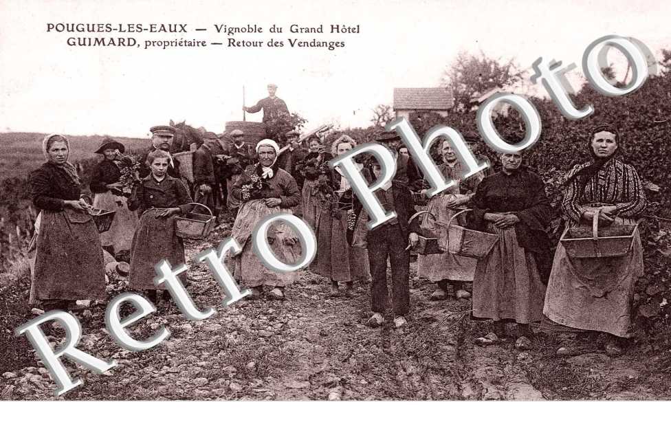 vignoble du Gd Hotel Guimard - retour des vendanges (tres belle carte animee)