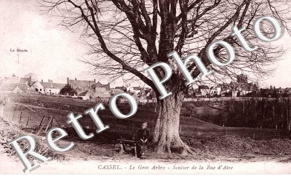 le Gros Arbre, Sentier de la Rue d'Aire