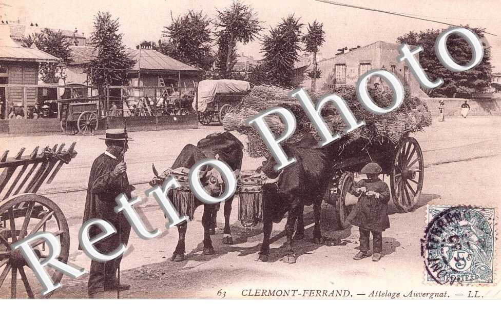 Attelage Auvergnat