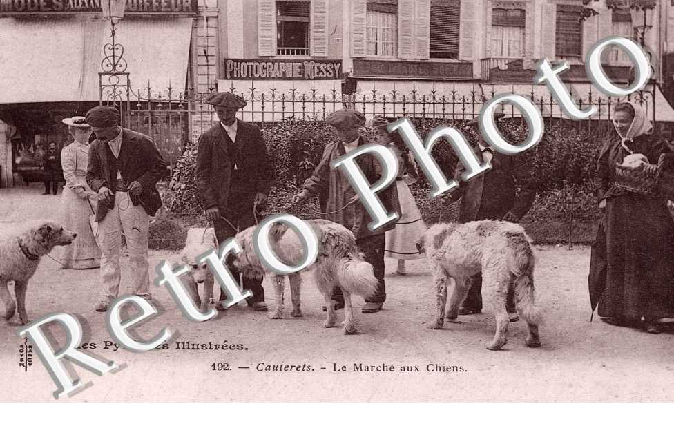 Le Marché aux Chiens