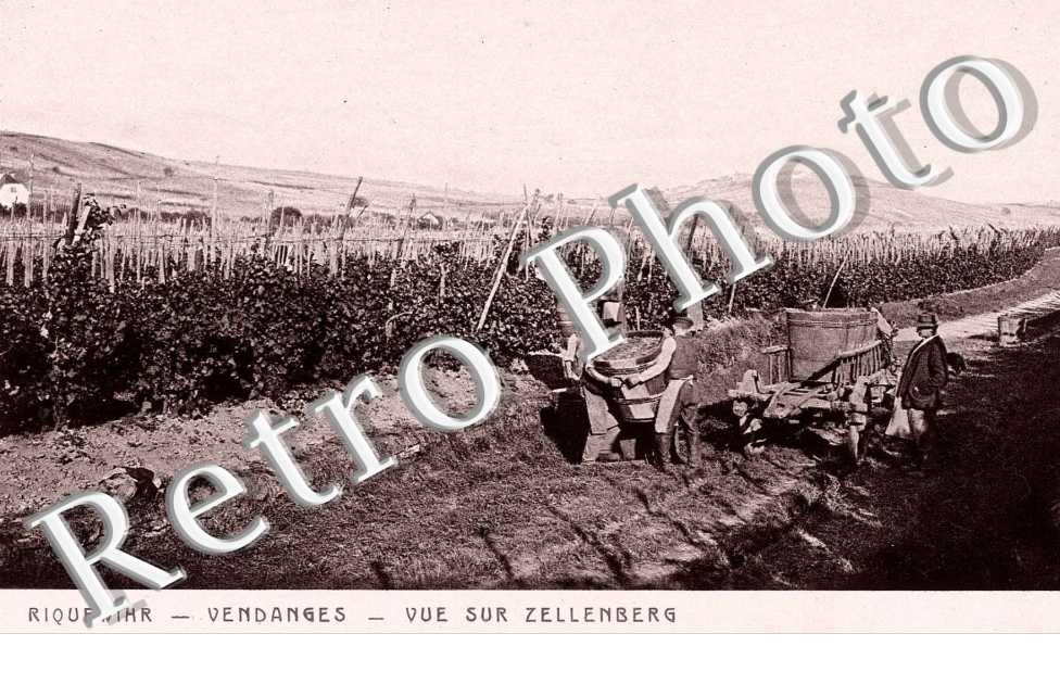 VUE SUR ZELLENBERG