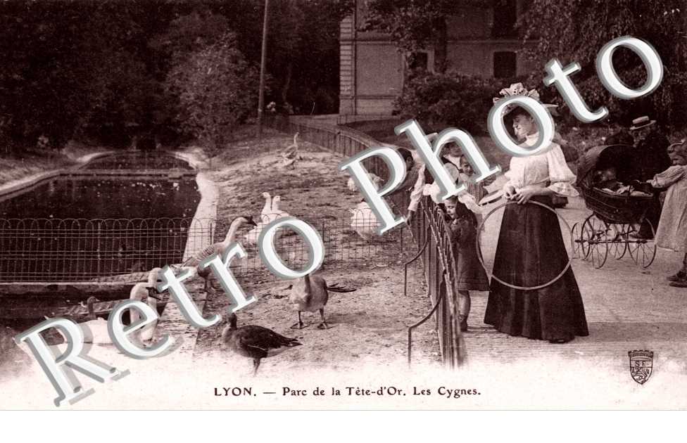 Parc de le Tete d'Or - les Cygnes