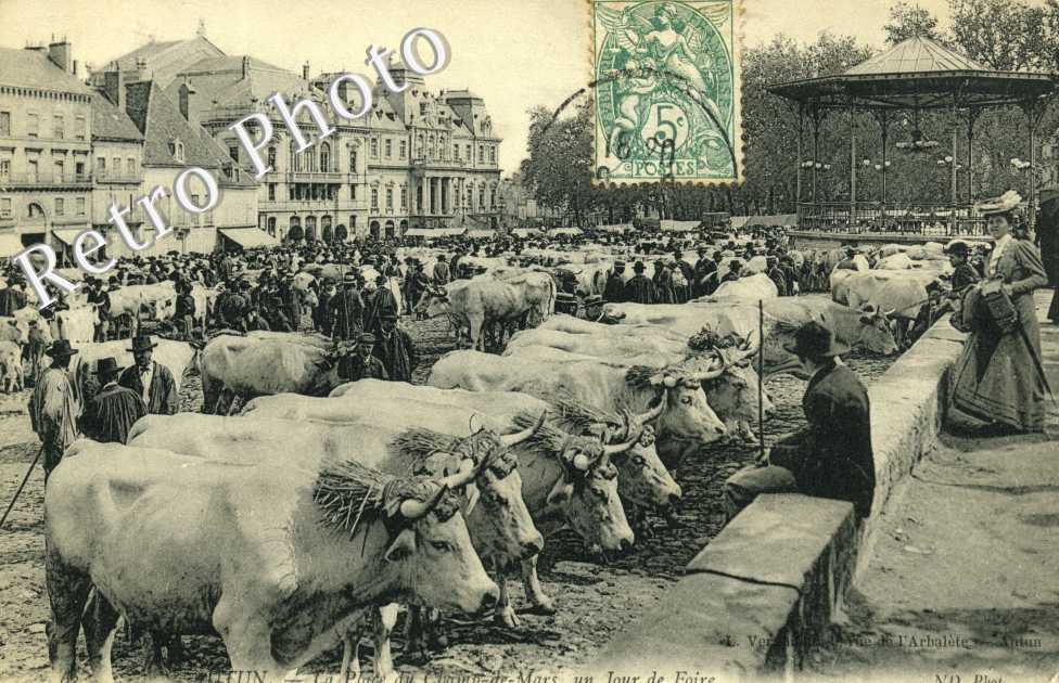 Place du Champ de Mars - un jour de foire (betail)