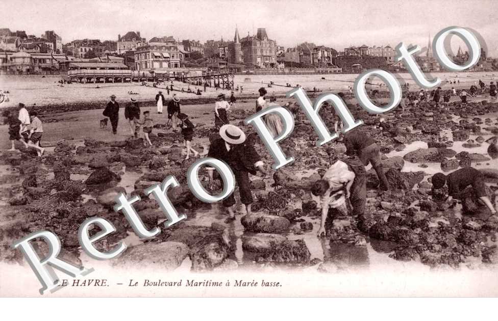 le bd maritime a maree basse