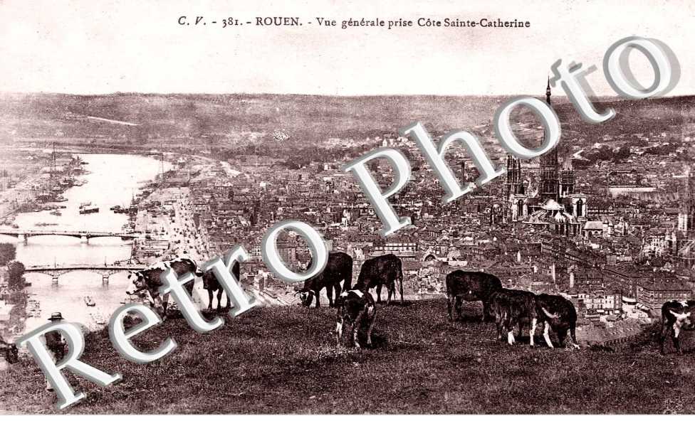 VUE GENERALE COTE STE CATHERINE