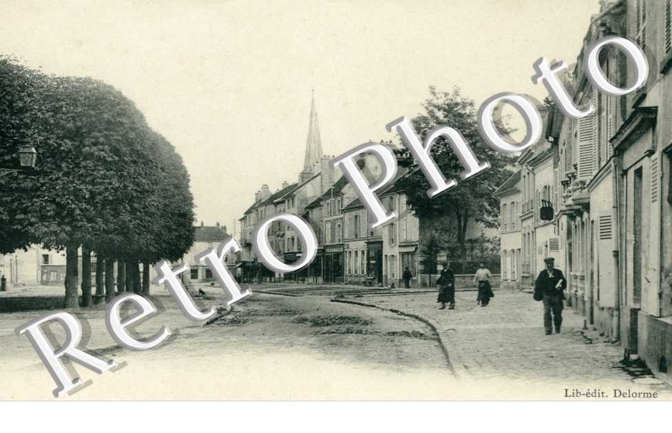 Les maronniers