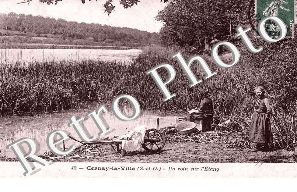 un coin sur l'etang