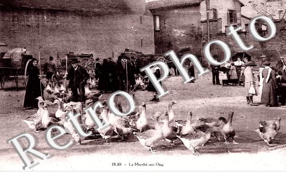 marche aux oies