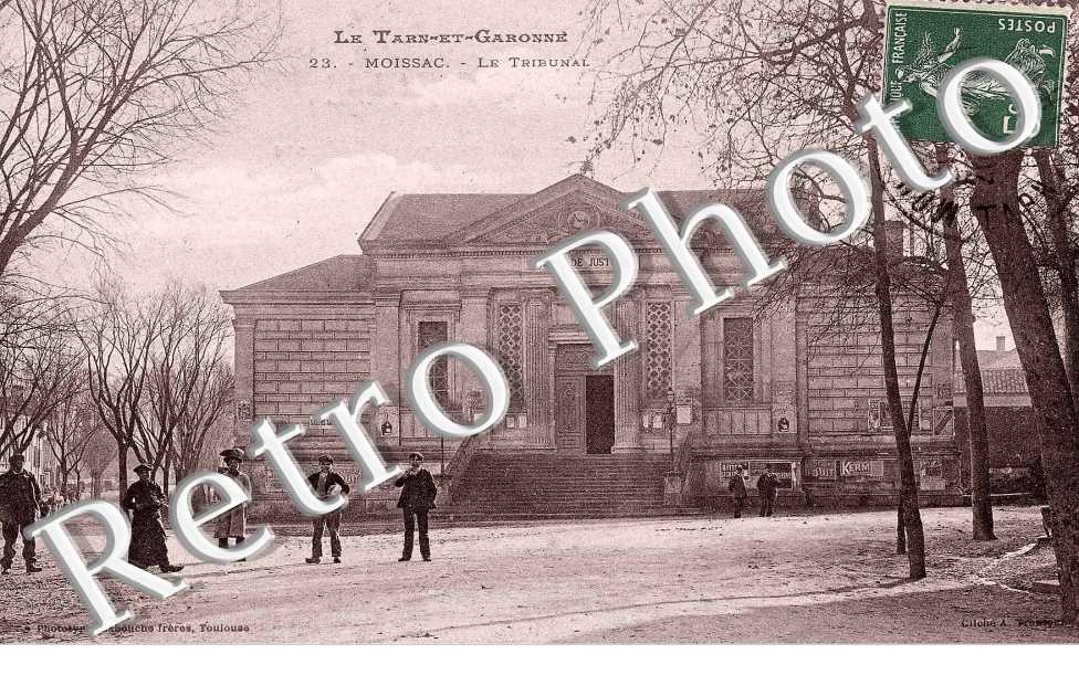 Le Tribunal