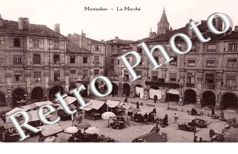 LE MARCHE