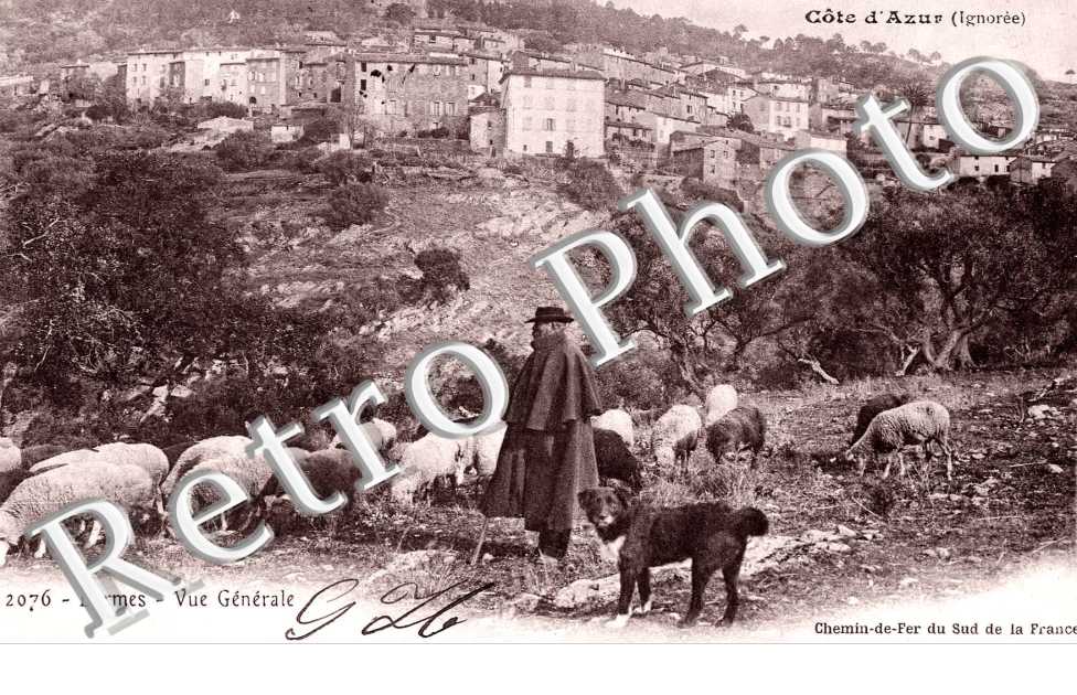 Vue generale