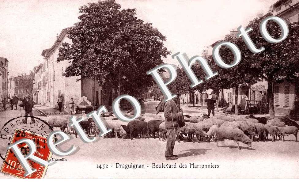 Boulevard des Marronniers