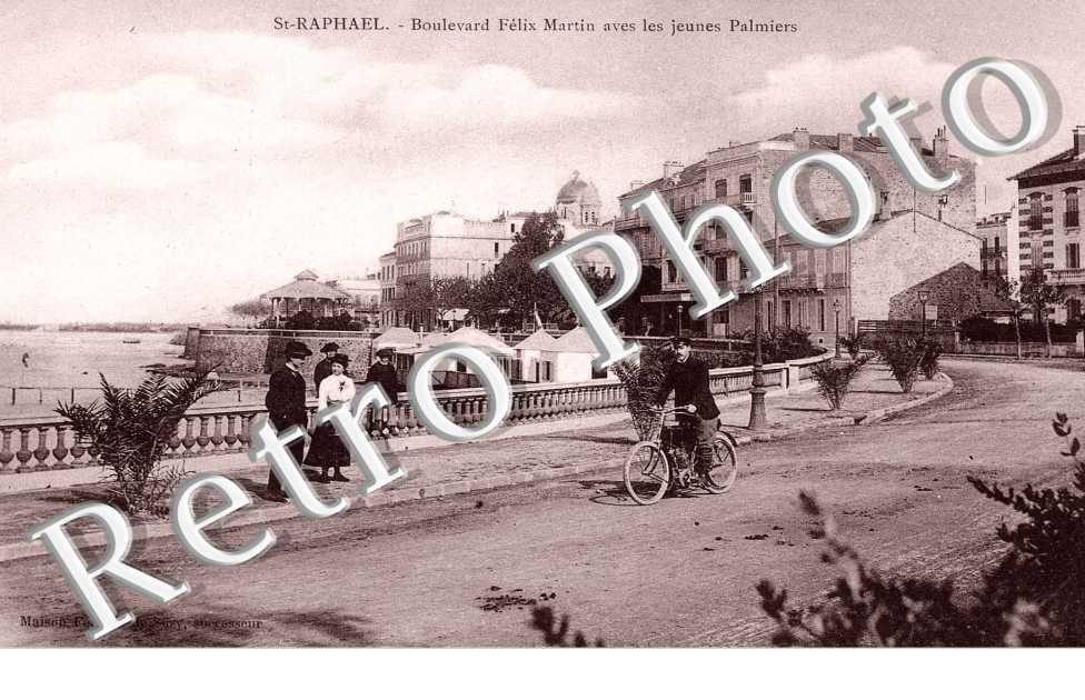 BOULEVARD FELIX MARTIN AVEC LES JEUNES PALMIERS