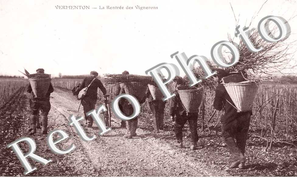 La rentree des Vignerons
