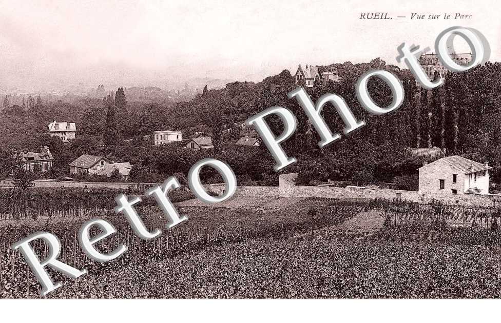 vue sur le parc