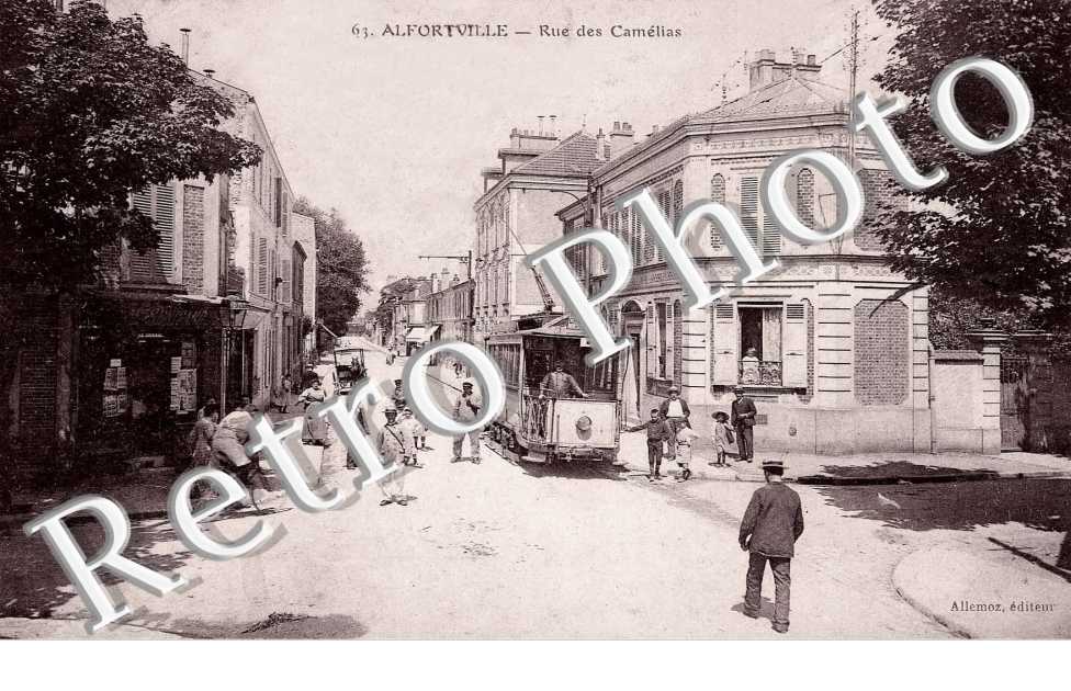 Rue des Camélias