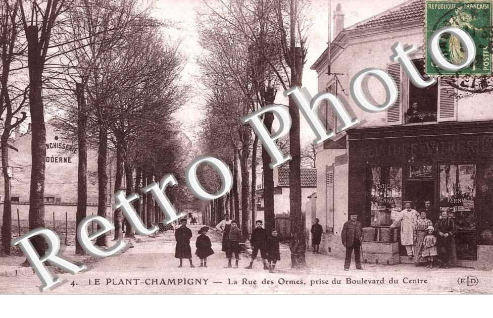 Le Plant Champigny La rue des Ormes