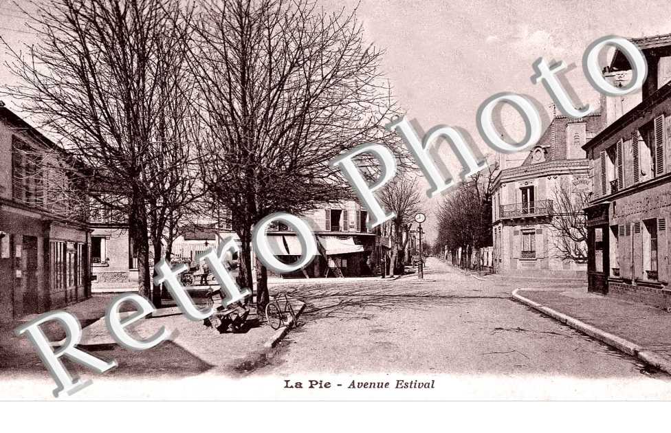 Avenue Estival