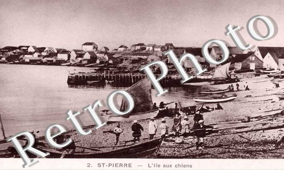 L'Ile aux Chiens