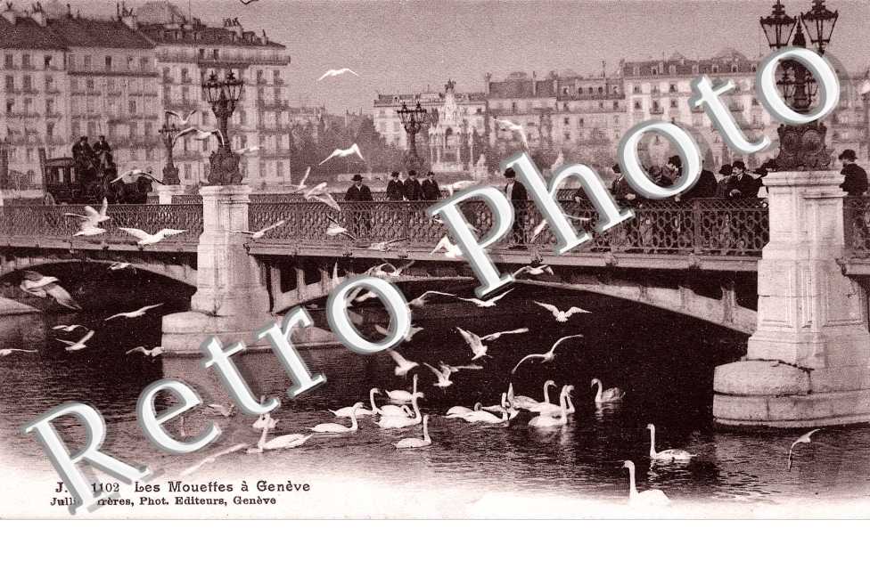 Les mouettes.