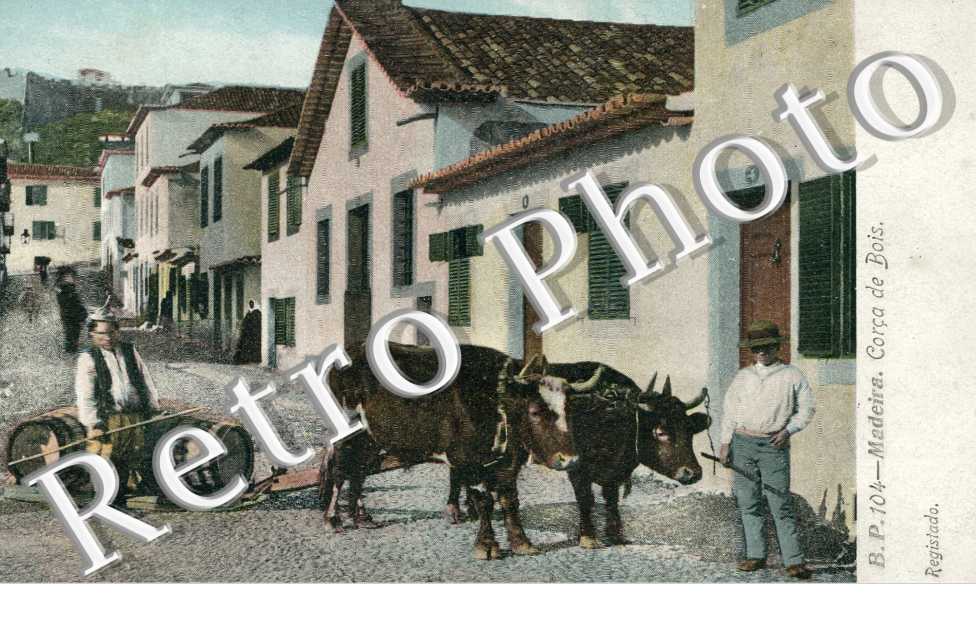 Corca de bois