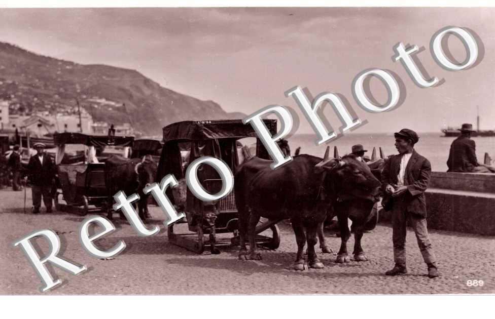 Carrt de tois - Bulloc car - Pchsenschlitten
