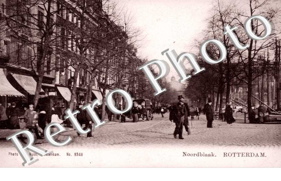 Noordblaak