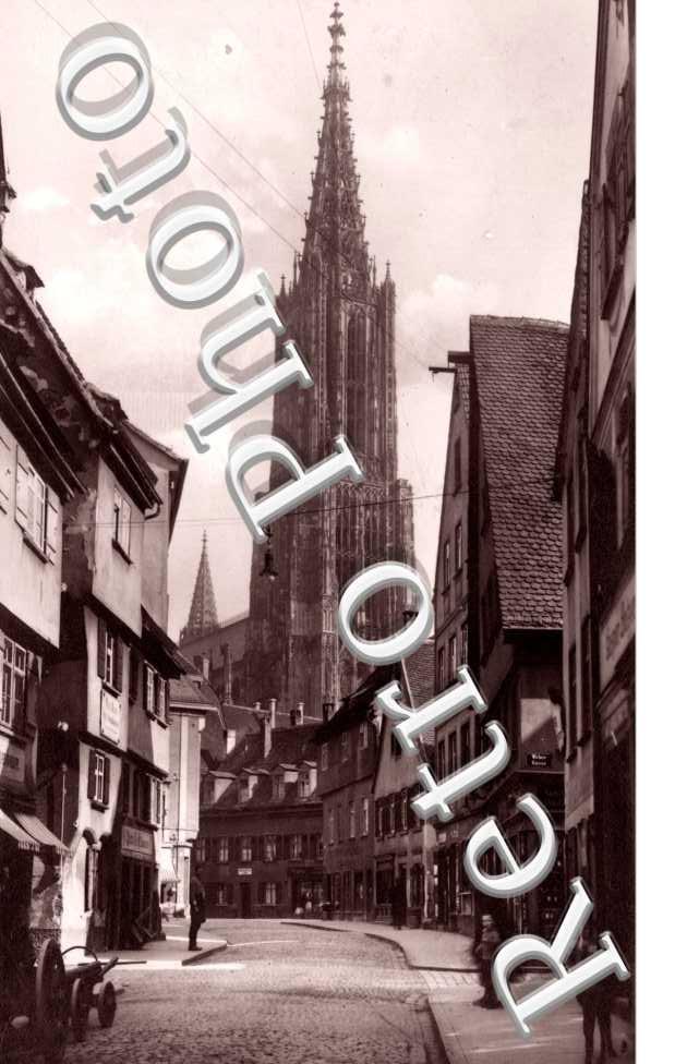 Walfischgasse