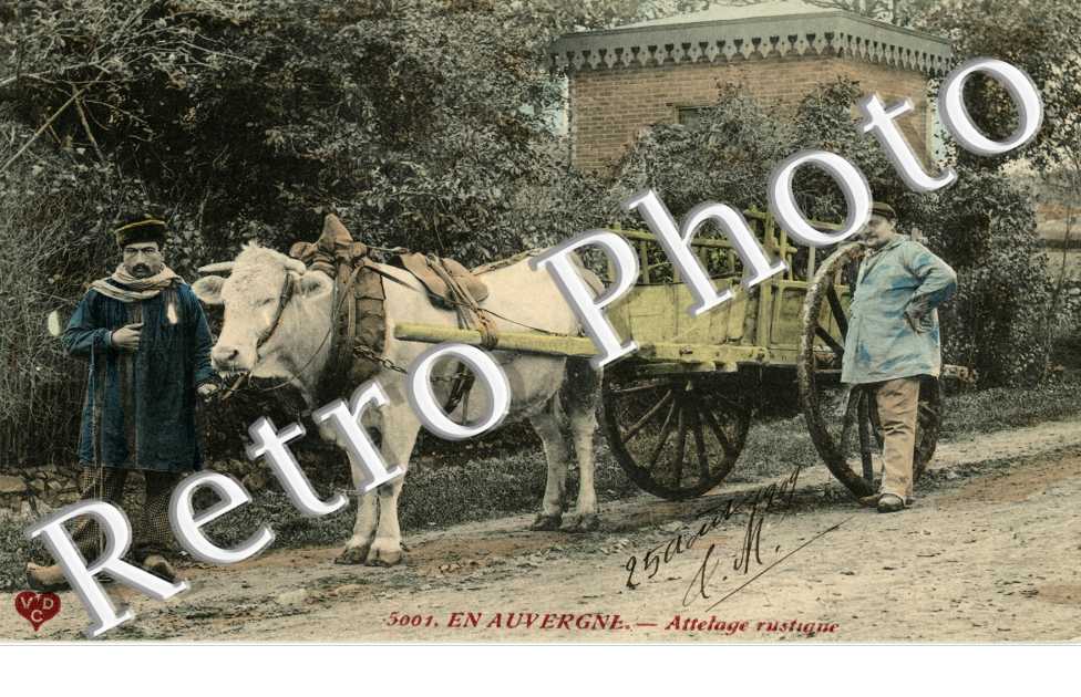 Attelage rustique