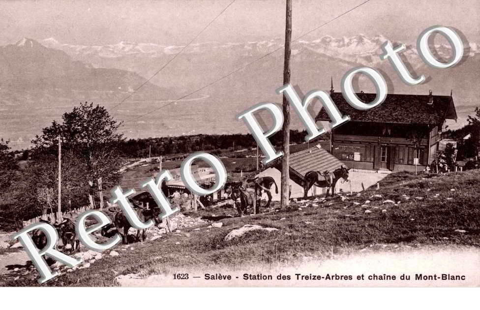Saleve - Station des Treize Arbres et chaine du Mont-Blanc
