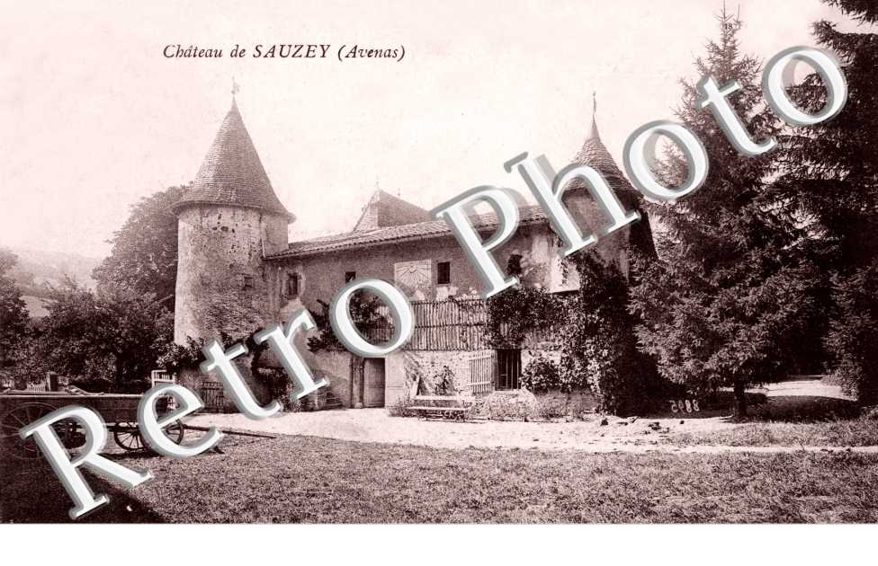 Chateau de Sauzey