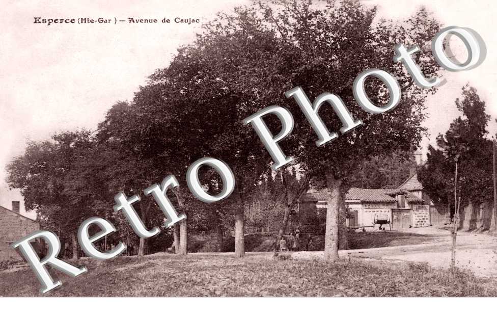 Avenue de Caujac